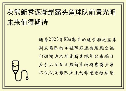 灰熊新秀逐渐崭露头角球队前景光明未来值得期待